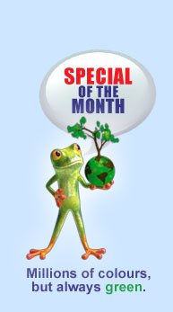 Monthly Special : Alicos Gecko